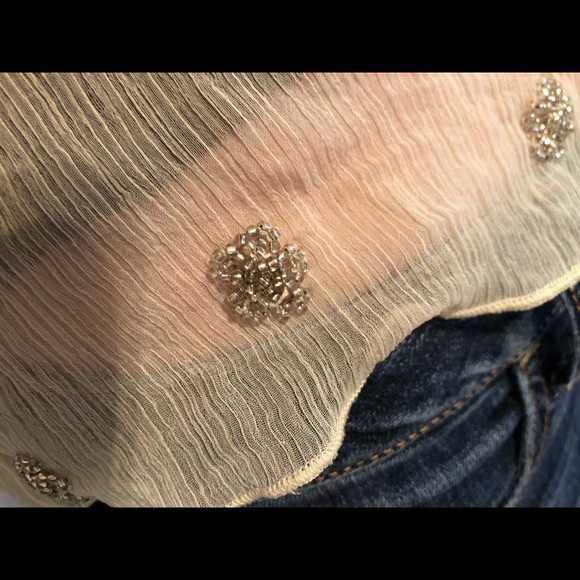 Embroidered Sheer Top💫 - Picture 1 of 4